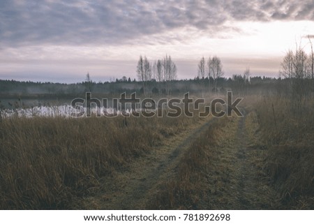 empty tractor road in the countryside with trees in surrounding. perspective in autumn. misty morning - vintage film look