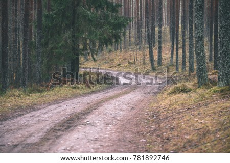 empty forest road in the countryside with trees in surrounding. perspective in autumn. gravel surface in latvia - vintage film look