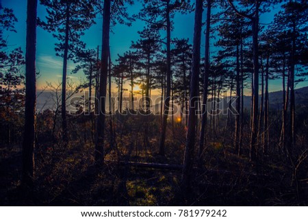 colorful sunset time in forest with mountains view