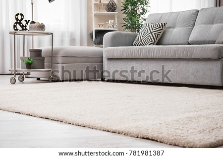 Modern living room interior with cozy sofa and soft carpet Royalty-Free Stock Photo #781981387