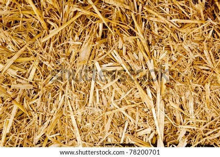 bale golden straw texture ruminants animal food background
