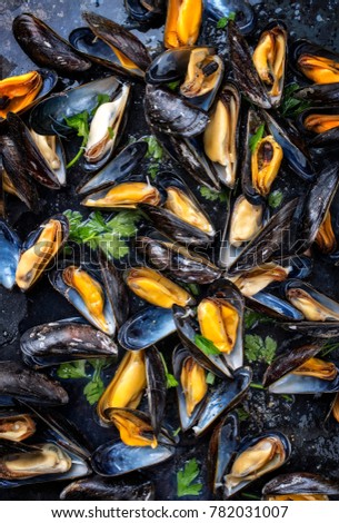 Traditional barbecue Italian blue mussel in white wine as top view on a tray