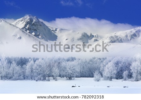 winter landscape with a road, trees and mountains covered with a fresh layer of white snow and with a blue sky