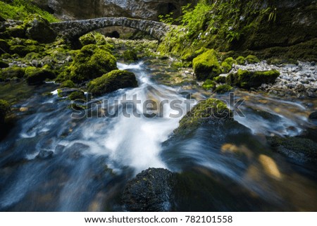 Mountain creek in Slovenia.