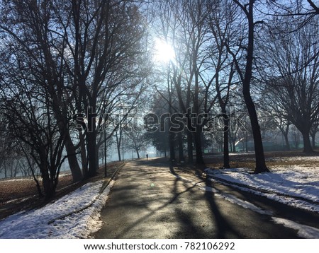 This is a photo of nice park in winter. All trees do not have leafs. The ground are also covered by snow. It is a bit cold but it is good to run or exercise there. 