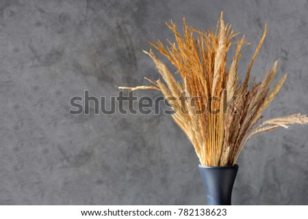 Yellow and golden look of dried grass in clear glass vase with grey cement wall in the background