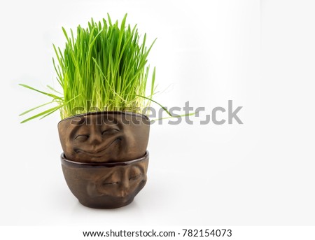 Cute pots with smiles on their sides and green grass hair  