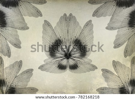 Insect wings pattern on the old paper textured background. Wildlife fantasy. Vintage style 