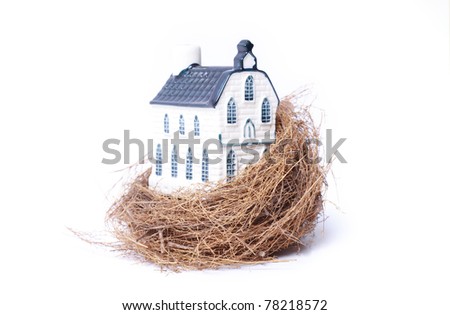 Bird nest and house,real estate economy concepts, isolated on white