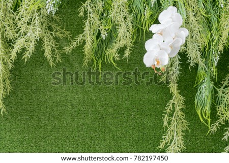 Green Wall Decorated with Artificial White Orchid and vine on background with copy space