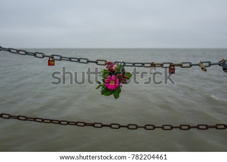 Flowers at a chain in Wilhelmshaven.