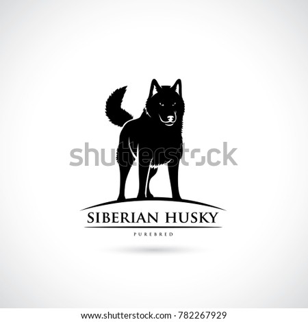 Siberian Husky dog - vector illustration isolated on white