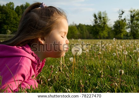 little girl blowing dandelion on the meadow