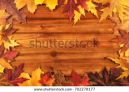 Autumn maple leaves over wooden background. Top view.