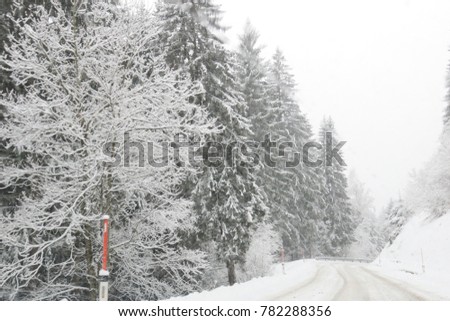 A road covered in snow. The trees beside the road are also coverd in snow. A lovely snow picture