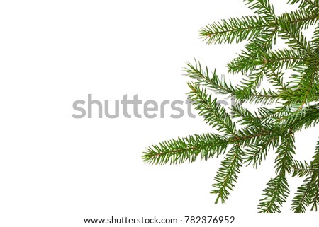 Christmas Evergreen Border with a branch of fir. Frame is isolated on a white background. For design postcard, banner, wrapper, background. 