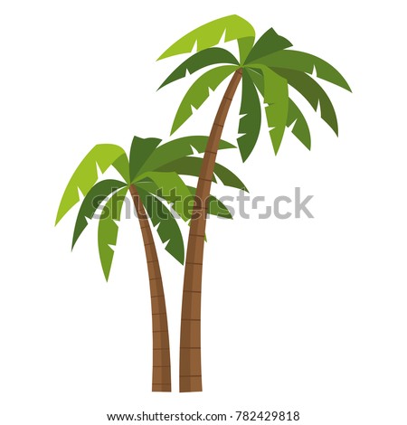 Tree palms isolated