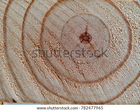 Wood print on the log.