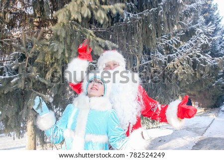 Santa Claus with a long beard and Miss Santa Claus Russia in a birch forest. hands up towards the snowy branch of fir. shake the snow off the tree