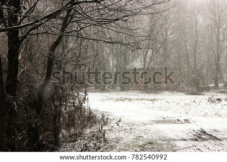 Snowy landscape in a winter garden, silhouette of building, rural track
