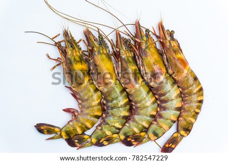 Fresh raw sea food tiger prawn shrimp isolated on white background