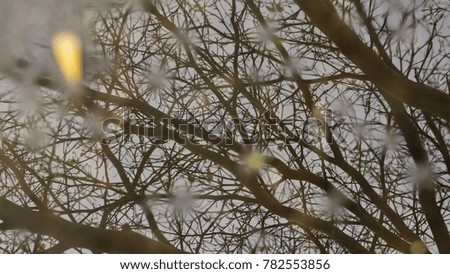 Abstract picture with water reflection.