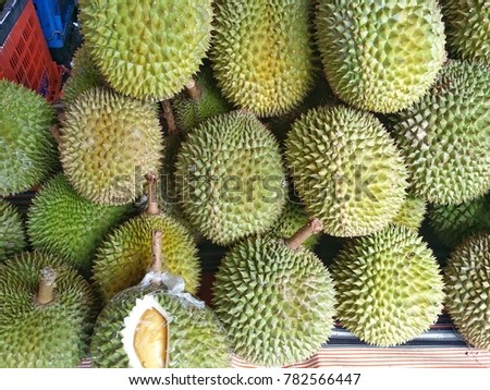 Fresh durian fruit. King of fruit which has specific smell.