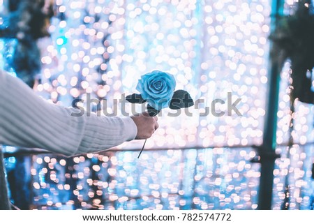 Blue rose in hand that blurry background.
