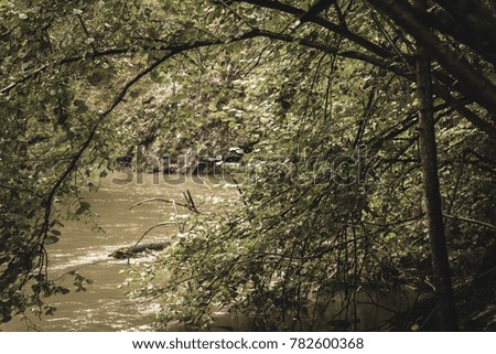 mountain river in summer with stream and high water in forest. slovensky raj. sucha bela trail - vintage film look