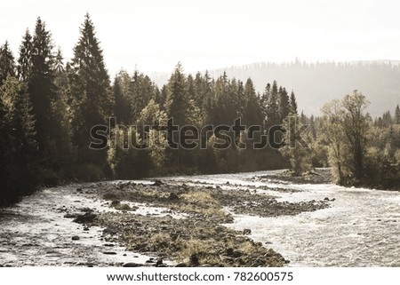 mountain river in summer with stream and high water in forest. Bialka river, Poland - vintage film look