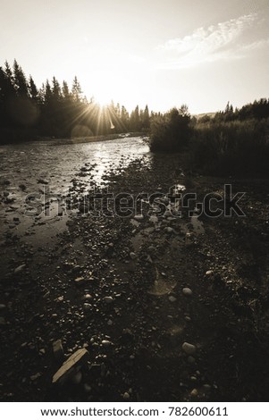 mountain river in summer with stream and high water in forest. Bialka river, Poland - vintage film look