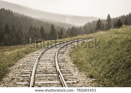wavy railroad tracks in wet summer day in forest with green meadow on horizon - vintage film look