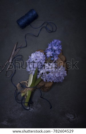 blue hyacinth with blue thread and scissors on the dark background