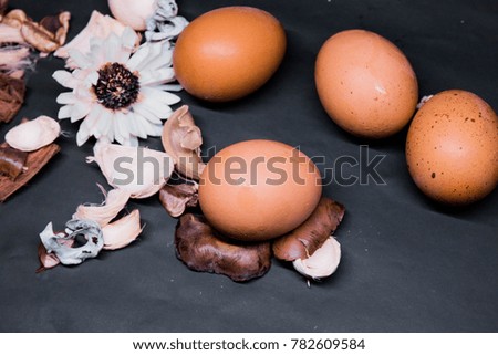 The picture shows beautiful eggs paired with flowers.