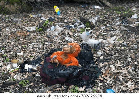 Burned garbage lying on ground in forest