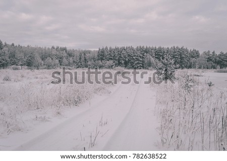 winter rural scene with snow covered trees and country road trails. latvia- vintage effect