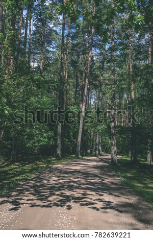 empty road in country forest. natural environmental detail view in latvia - vintage film look