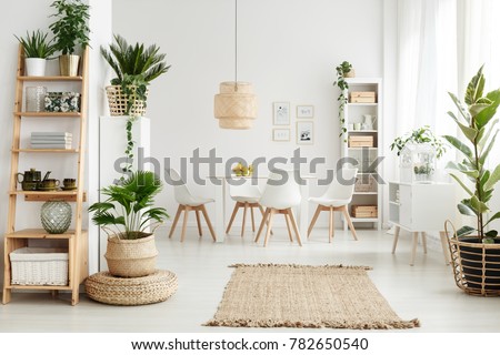 Pouf and brown rug near white cupboard in natural dining room interior with white chairs, plants and wooden shelves Royalty-Free Stock Photo #782650540