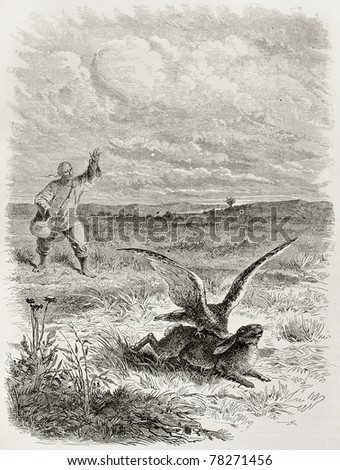 Old illustration of falcon clutching prey. Created by Bayard after sketch of Treves, published on Le Tour du Monde, Paris, 1864