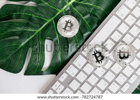 Silver bitcoin coins on the white keyboard and green leaf of Monstera. Close up. Bitcoin up. Red big arrow and Cryptocurrency.