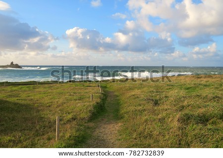 Path to the ocean in the evening light, typical cote sauvage paysage, Brittany, France