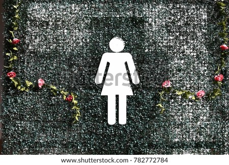 Woman symbol or sign on the wall tree in front of the lavatory or toilet

