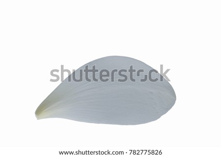 Lotus petals, white background