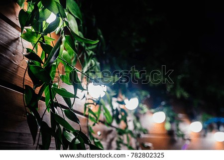 
illuminated plant decor branch lamp wooden background