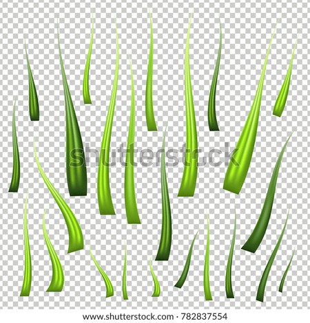 Super realistic, detailed fresh green vector grass. Isolated plant stems for front plan nature illustration. Gradient mesh tool.