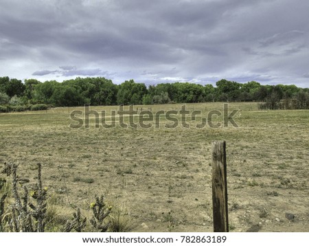 Gray clouds gathering over a field in early spring