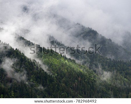 Fog and mist at the village in carpatian mountains Royalty-Free Stock Photo #782968492