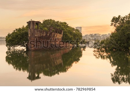 Sunrise at SS Ayrfield Shipwreck at Wentworth Point Royalty-Free Stock Photo #782969854