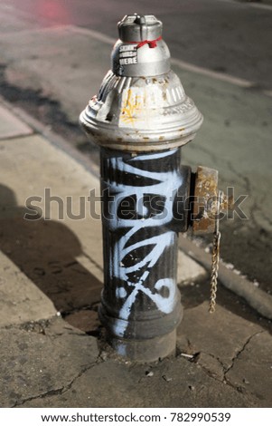 Fire Hydrant with Graffiti, Lower East Side