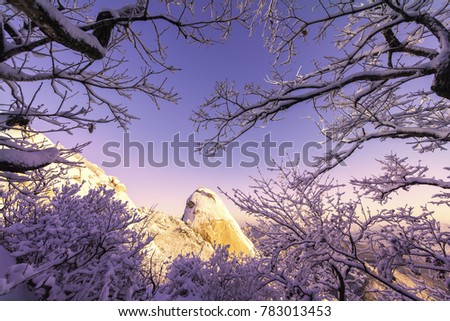 Beautiful Winter Landscape in Bukhansan National Park, South Korea.